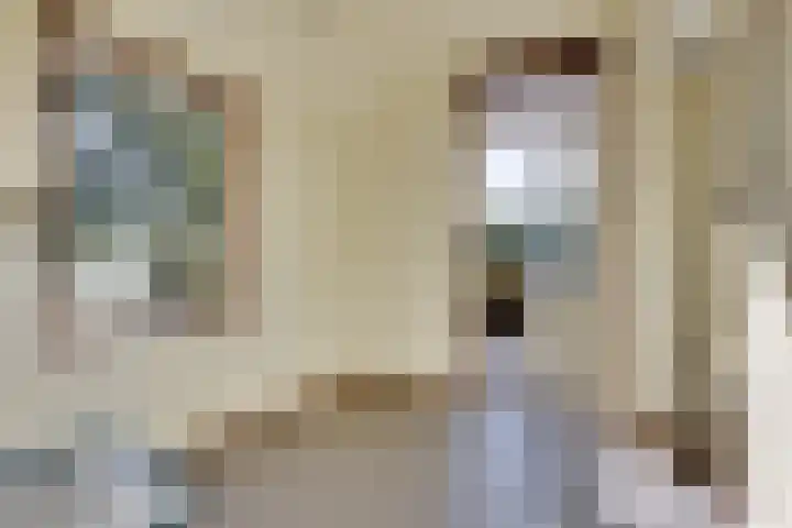 Boldermansweg 12 Winterswijk Huppel thumbnail 31