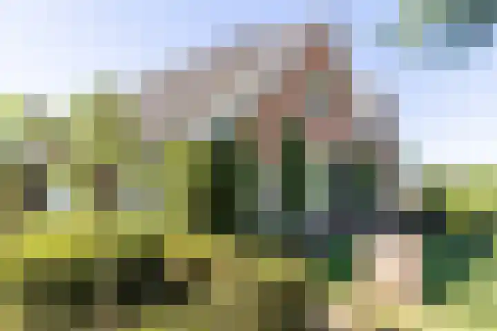 Boldermansweg 12 Winterswijk Huppel thumbnail 4