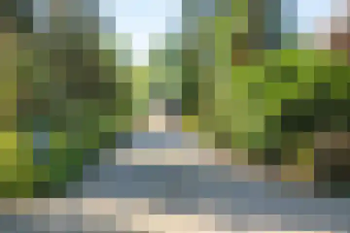 Boldermansweg 12 Winterswijk Huppel thumbnail 40