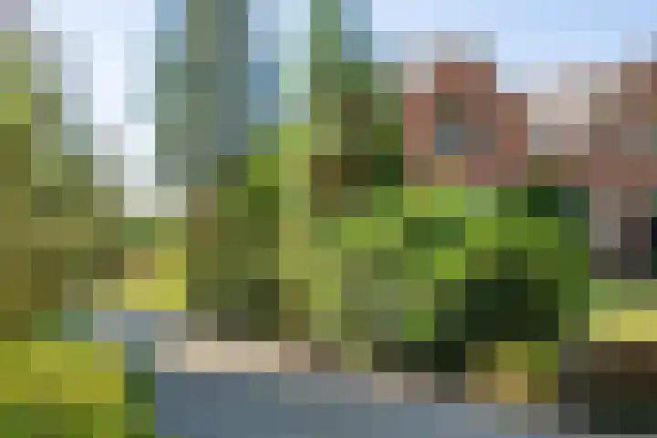 Boldermansweg 12 Winterswijk Huppel thumbnail 41