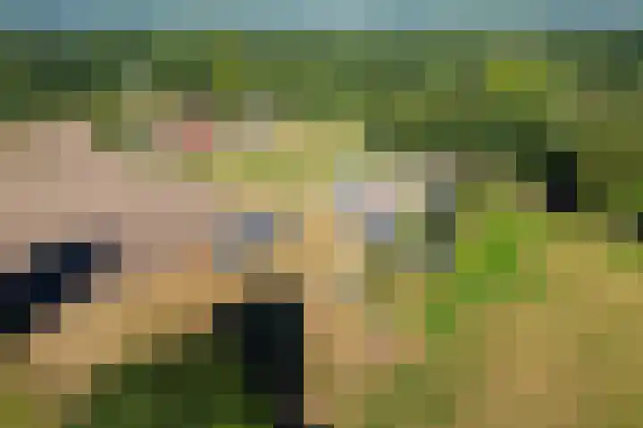 Boldermansweg 12 Winterswijk Huppel thumbnail 42