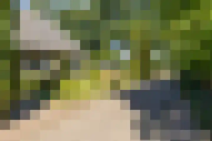Boldermansweg 12 Winterswijk Huppel thumbnail 6
