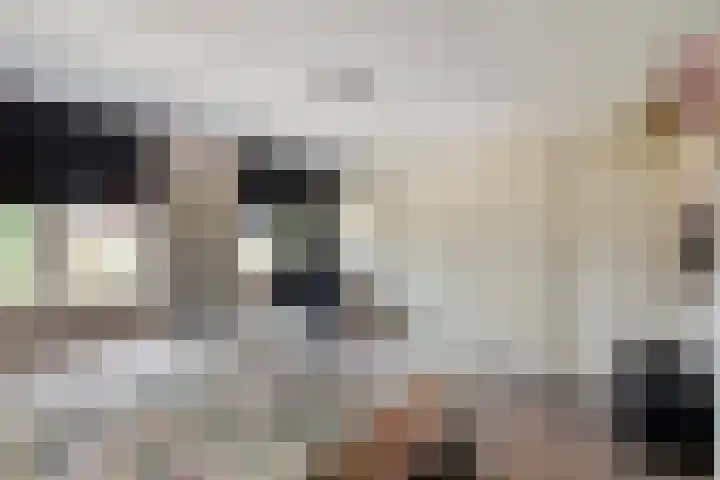 Boldershoflaan 18 Druten thumbnail 22