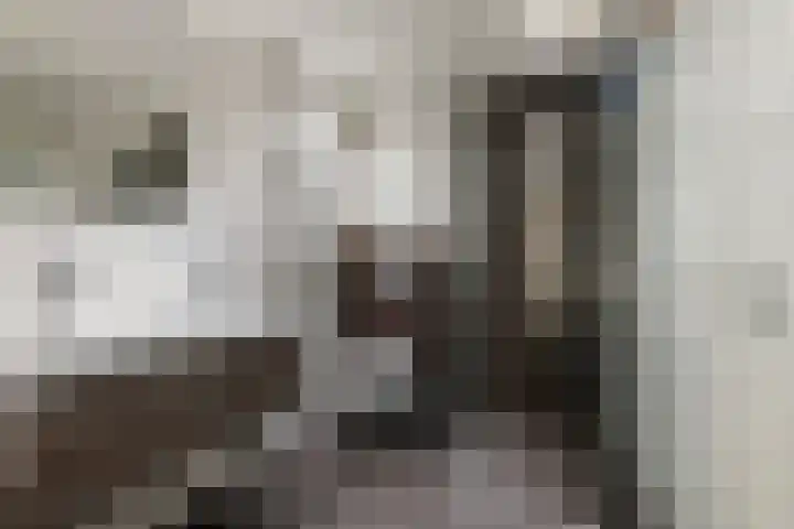 Boldershoflaan 18 Druten thumbnail 23