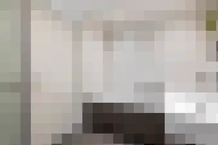 Boldershoflaan 18 Druten thumbnail 25