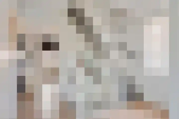 Boldershoflaan 18 Druten thumbnail 29