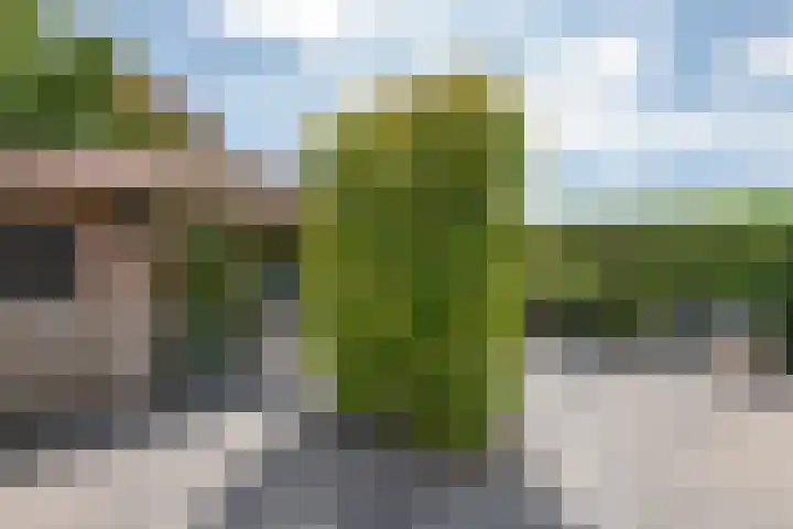 Boldershoflaan 18 Druten thumbnail 36