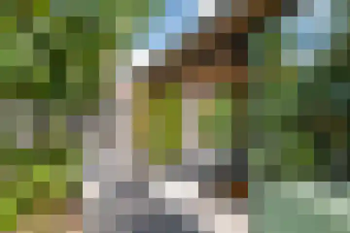 Boldershoflaan 18 Druten thumbnail 38