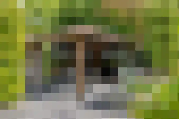 Boldershoflaan 18 Druten thumbnail 39