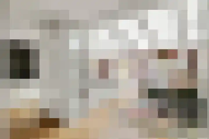 Boldershoflaan 18 Druten thumbnail 4