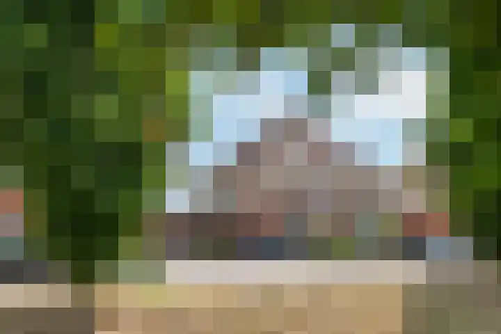 Boldershoflaan 18 Druten thumbnail 42