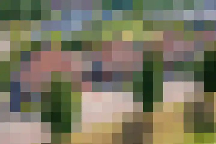 Boldershoflaan 18 Druten thumbnail 43