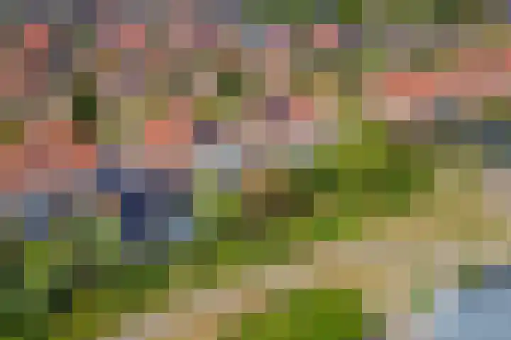 Boldershoflaan 18 Druten thumbnail 44