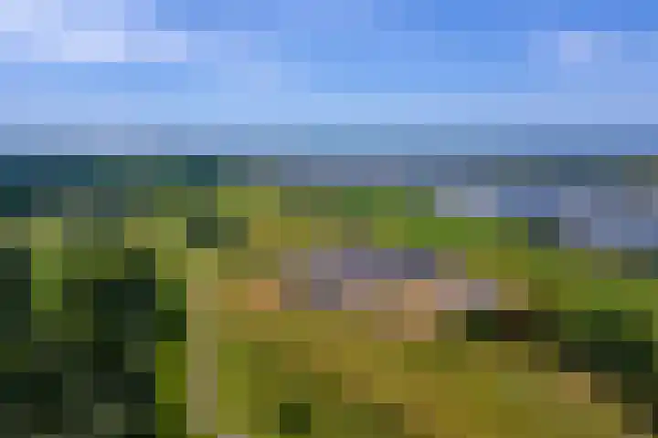 Boldershoflaan 18 Druten thumbnail 47