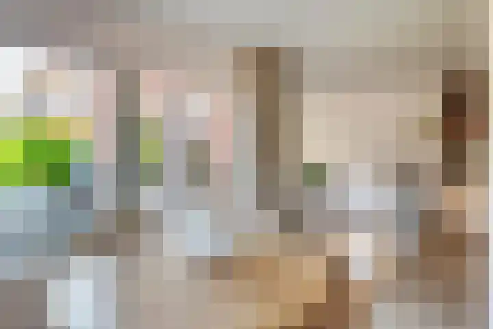 Boldershoflaan 27 Druten thumbnail 14