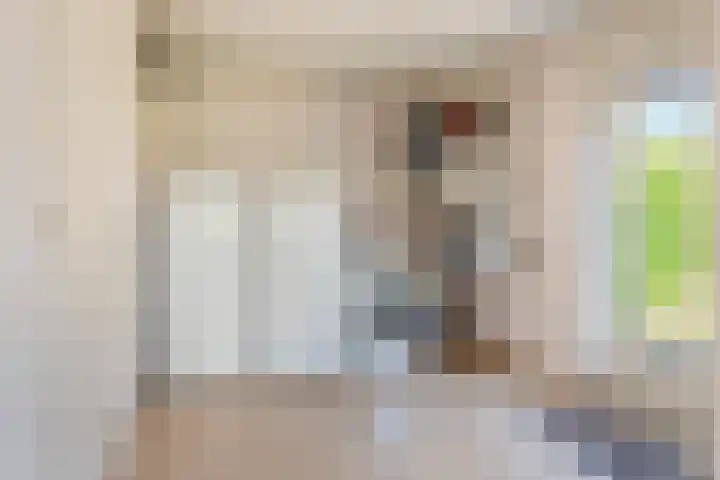 Boldershoflaan 27 Druten thumbnail 15