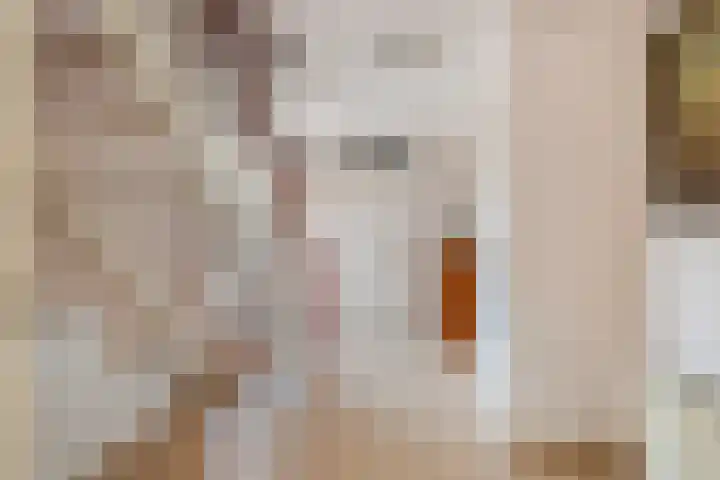 Boldershoflaan 27 Druten thumbnail 17