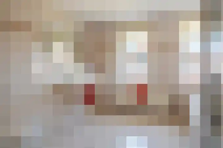 Boldershoflaan 27 Druten thumbnail 24