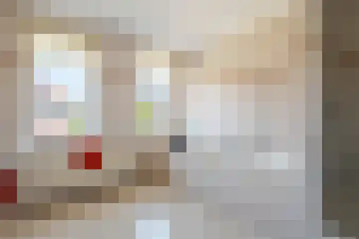 Boldershoflaan 27 Druten thumbnail 25