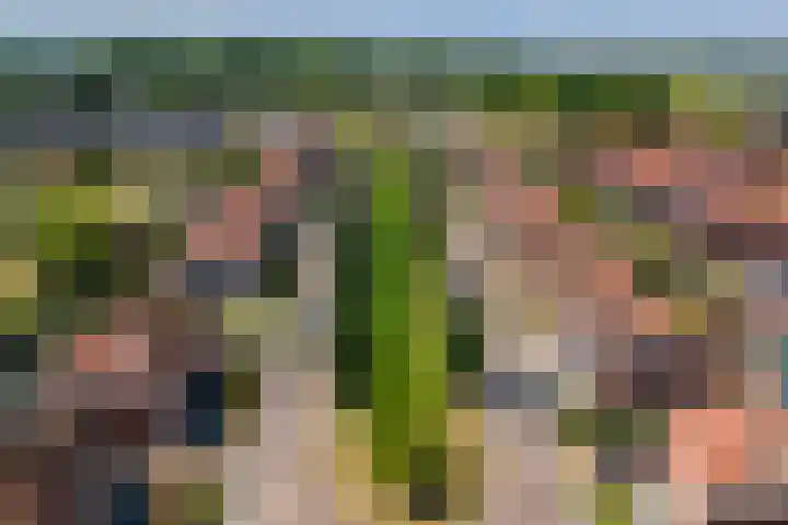 Boldershoflaan 27 Druten thumbnail 4