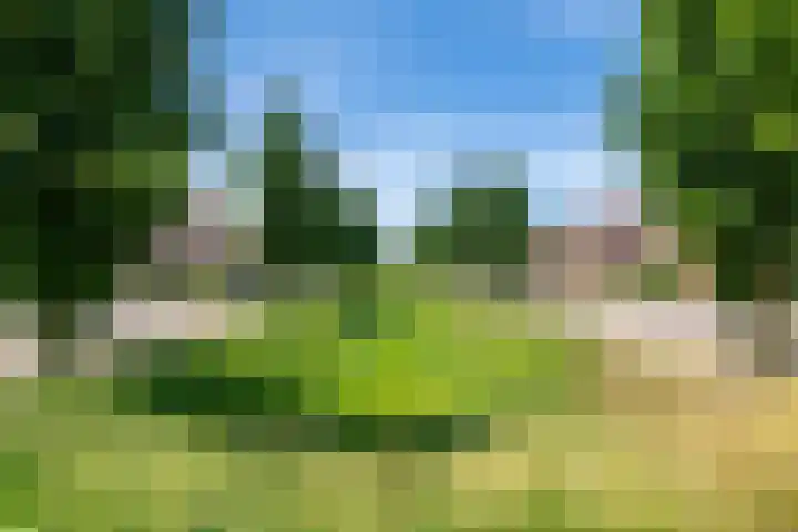 Boldershoflaan 27 Druten thumbnail 40