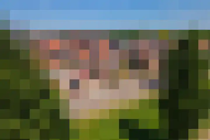 Boldershoflaan 27 Druten thumbnail 41