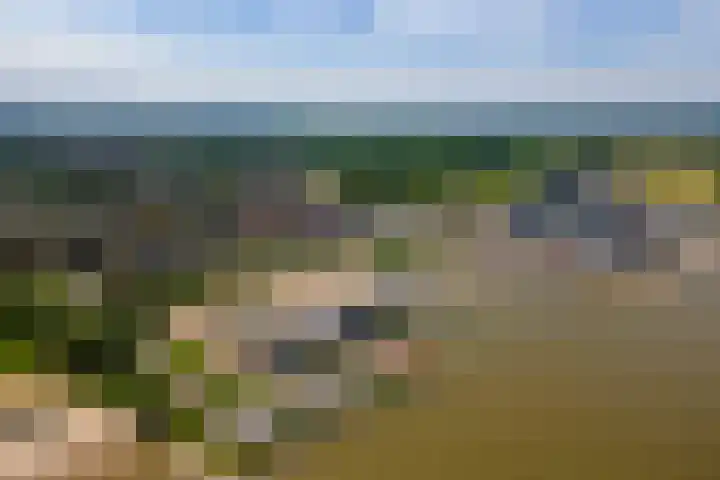 Boldershoflaan 27 Druten thumbnail 42