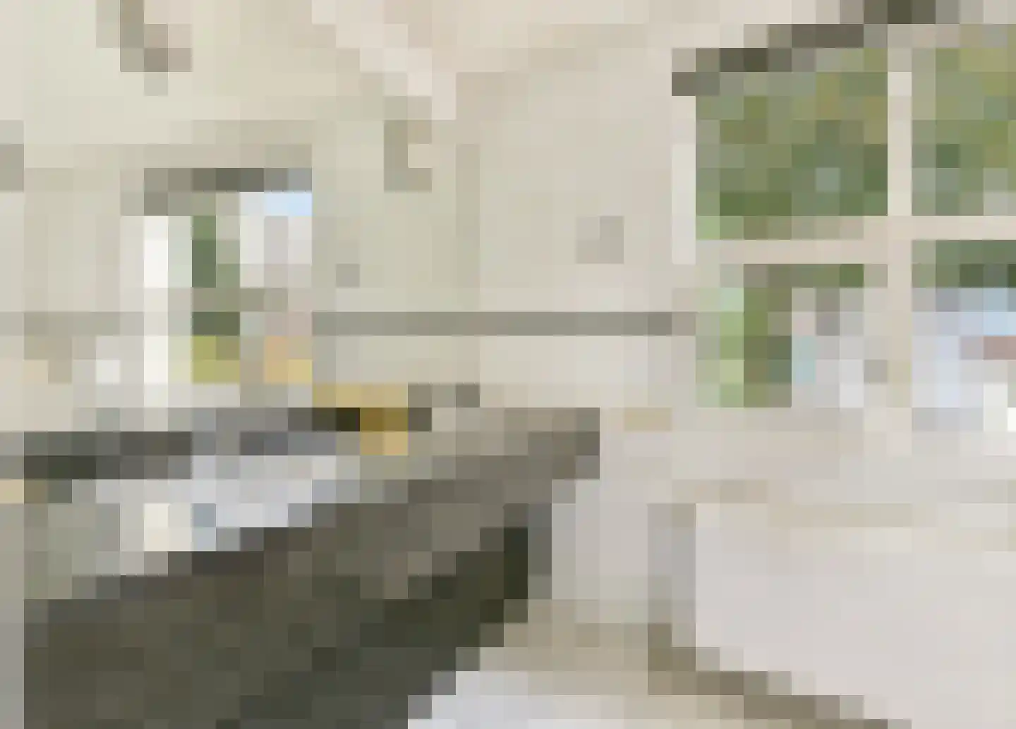 Boldersstraat 1 Amersfoort thumbnail 31