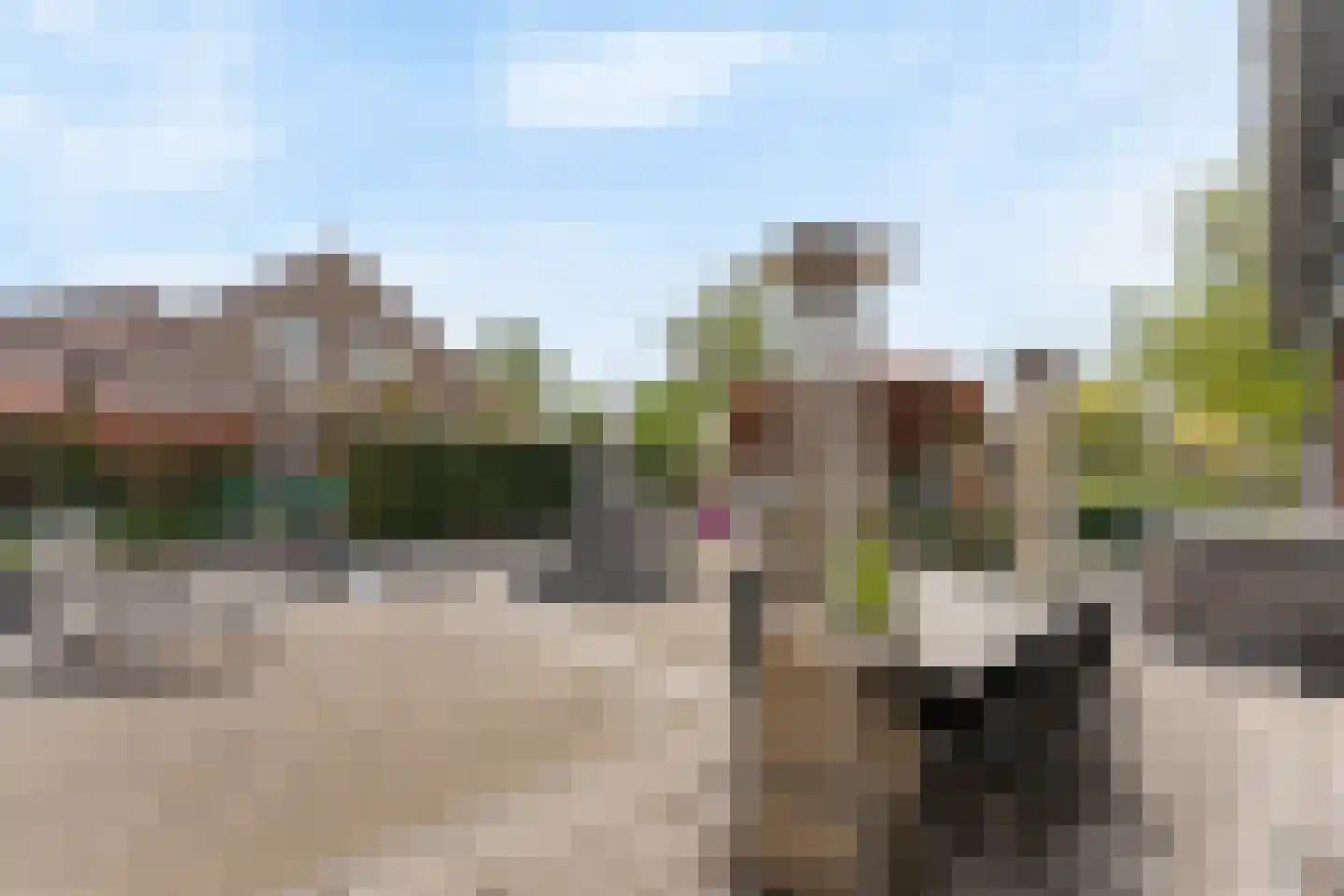 Bolderstraat 133 Apeldoorn thumbnail 13