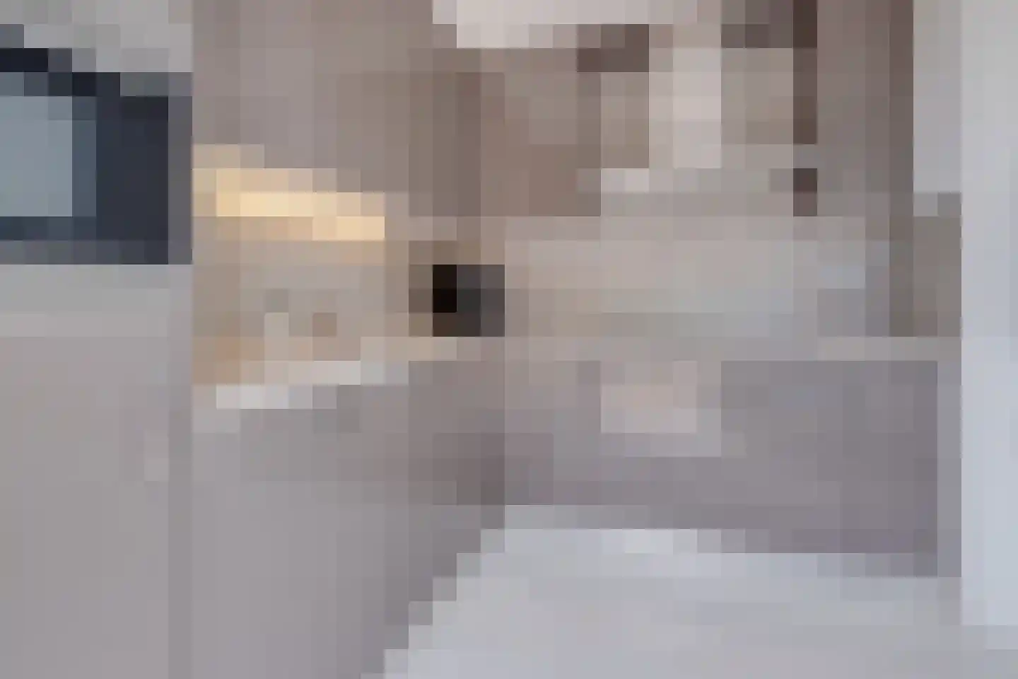 Bolderstraat 32 Maasbracht thumbnail 15