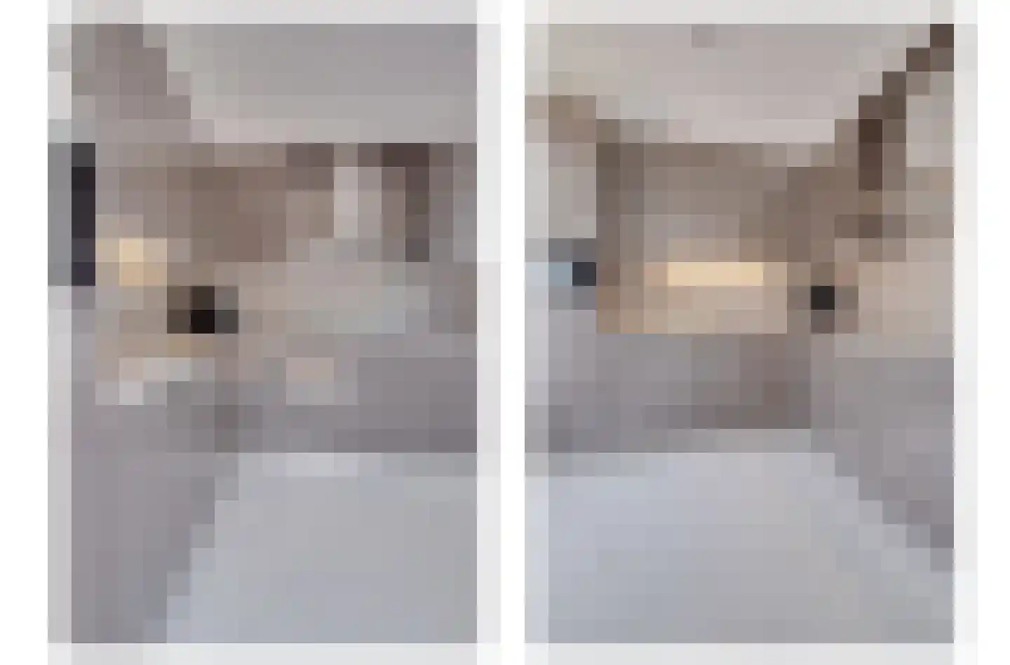Bolderstraat 32 Maasbracht thumbnail 16