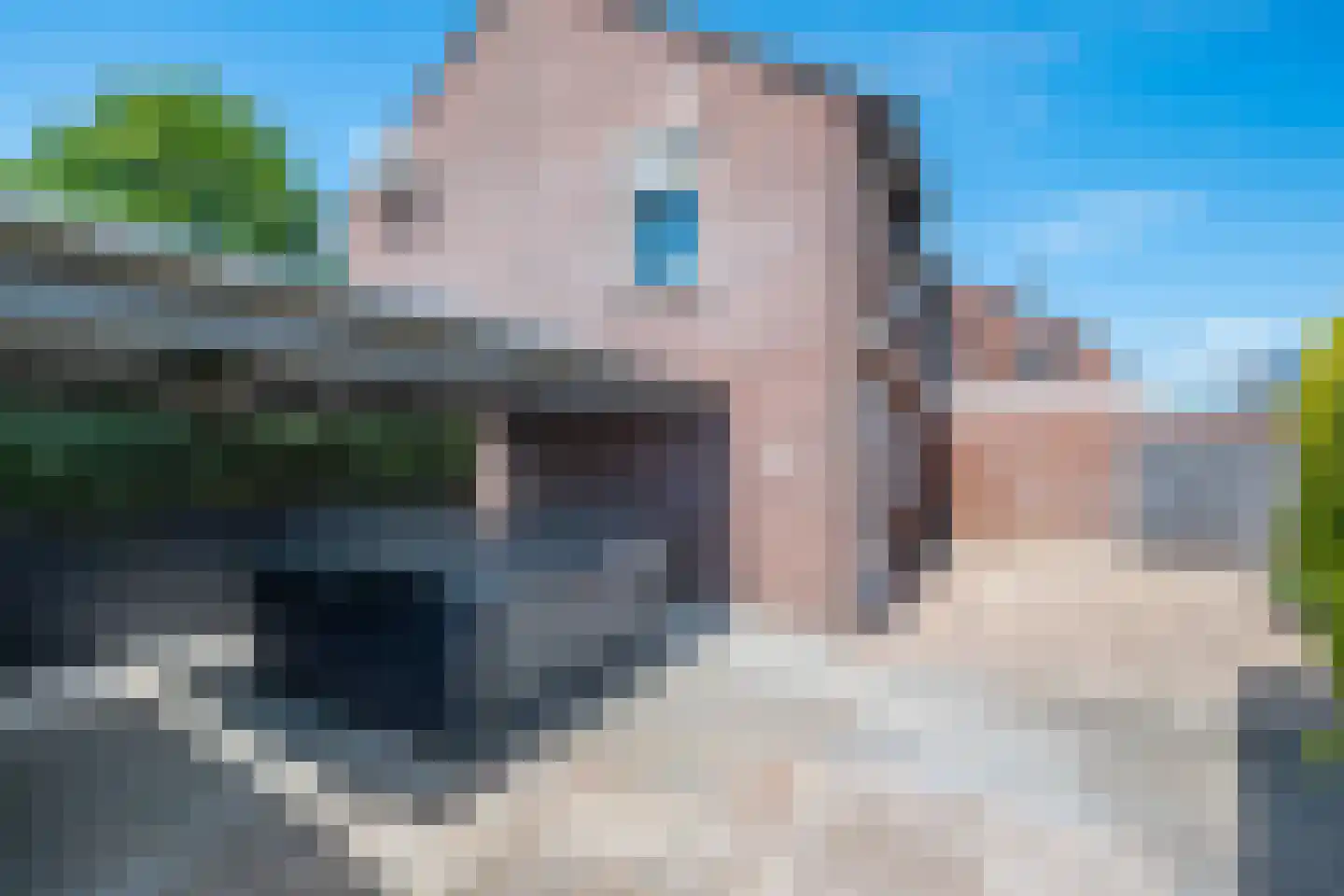 Bolderstraat 32 Maasbracht thumbnail 29
