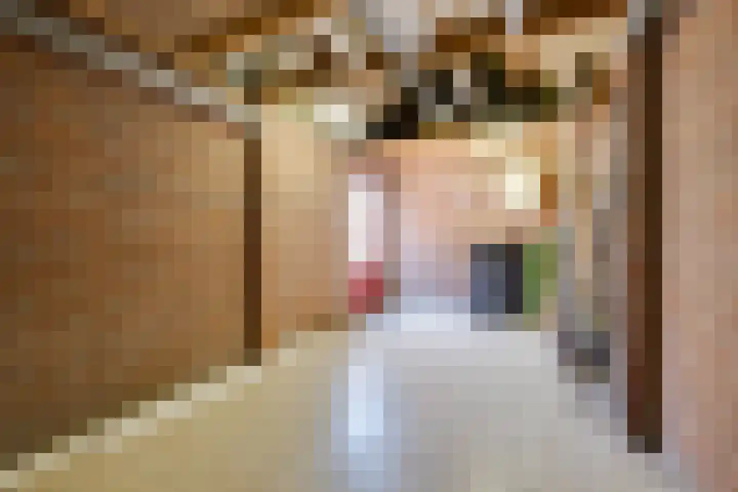 Bolderstraat 32 Maasbracht thumbnail 33