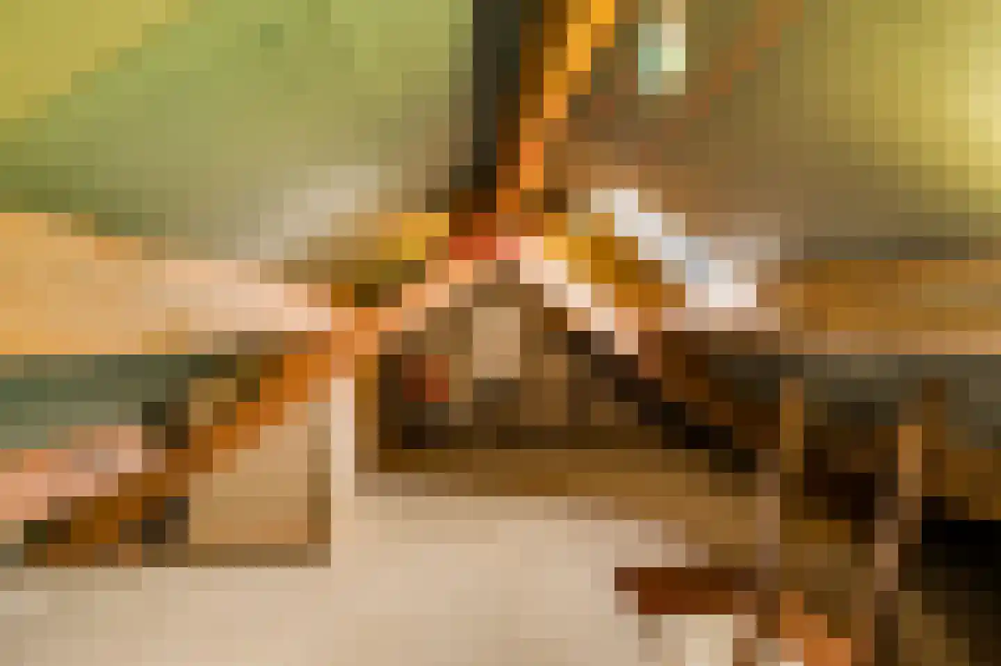 Bolderstraat 4 Maasbracht thumbnail 20