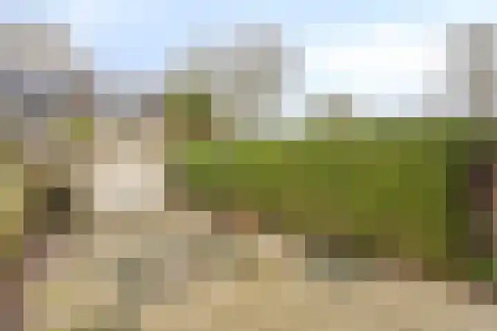 Bolenstein 5 Zwijndrecht thumbnail 22