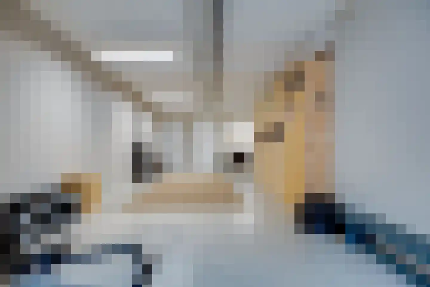 Bolensteinsestraat 10 Maarssen thumbnail 10