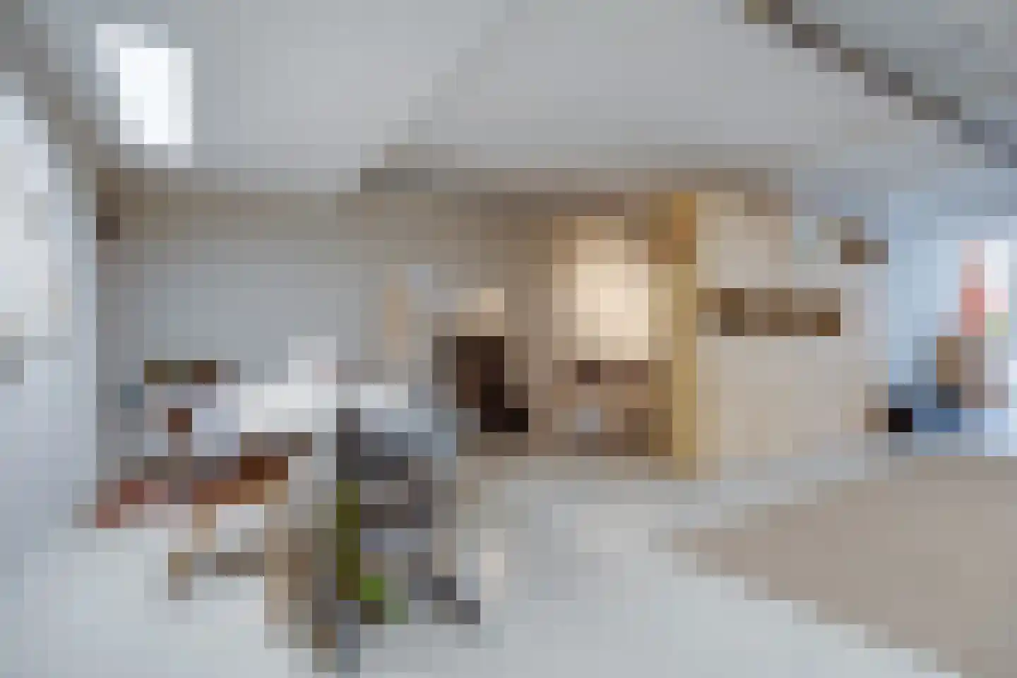 Bolensteinsestraat 10 Maarssen thumbnail 13