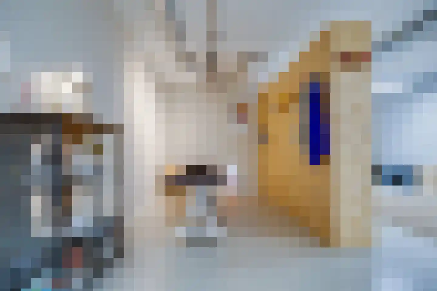 Bolensteinsestraat 10 Maarssen thumbnail 14