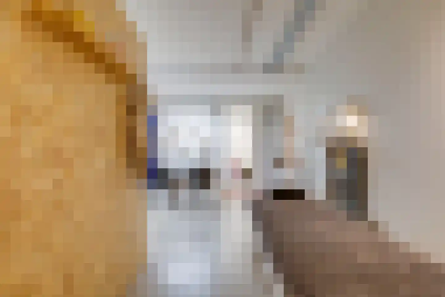Bolensteinsestraat 10 Maarssen thumbnail 15