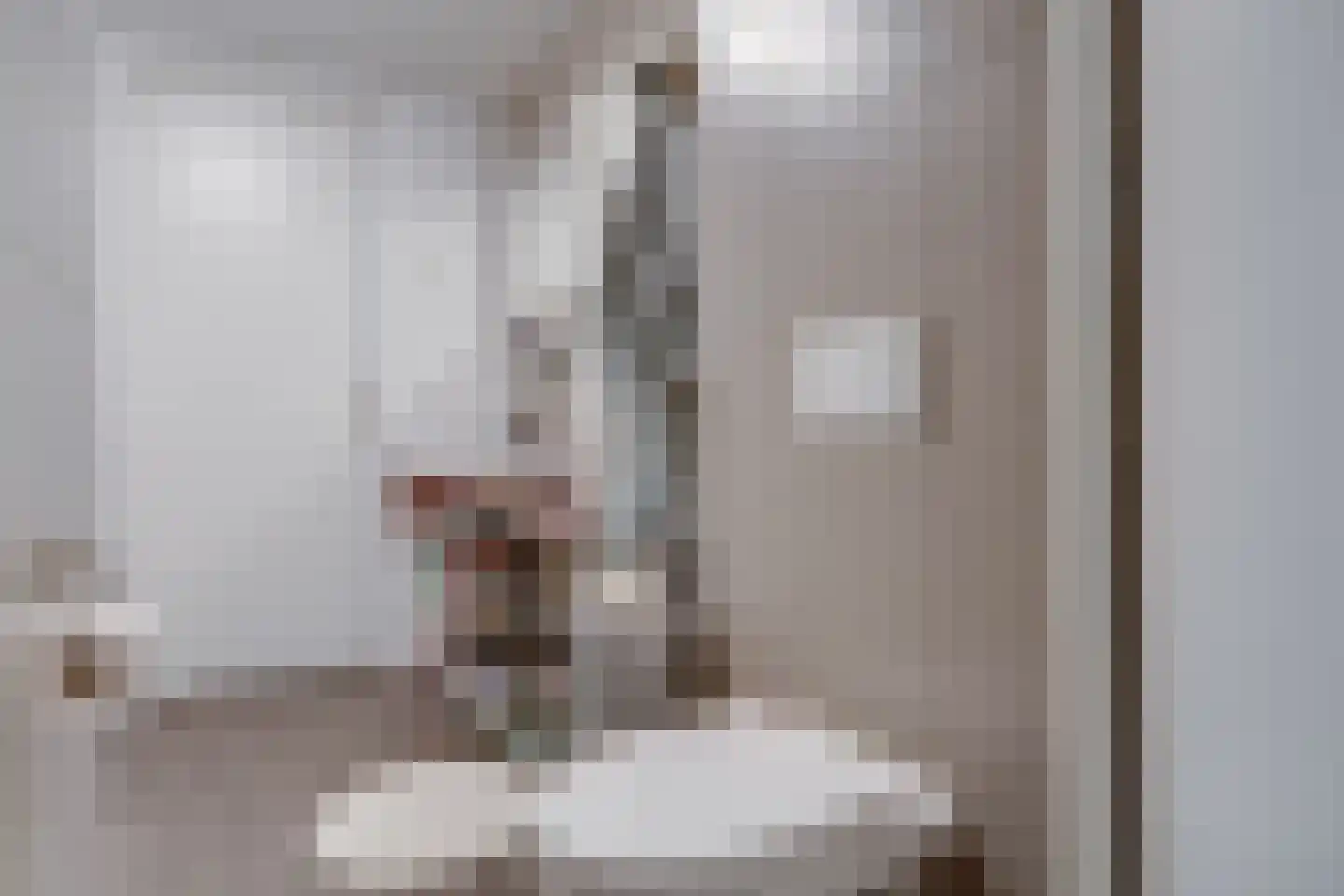 Bolensteinsestraat 10 Maarssen thumbnail 31