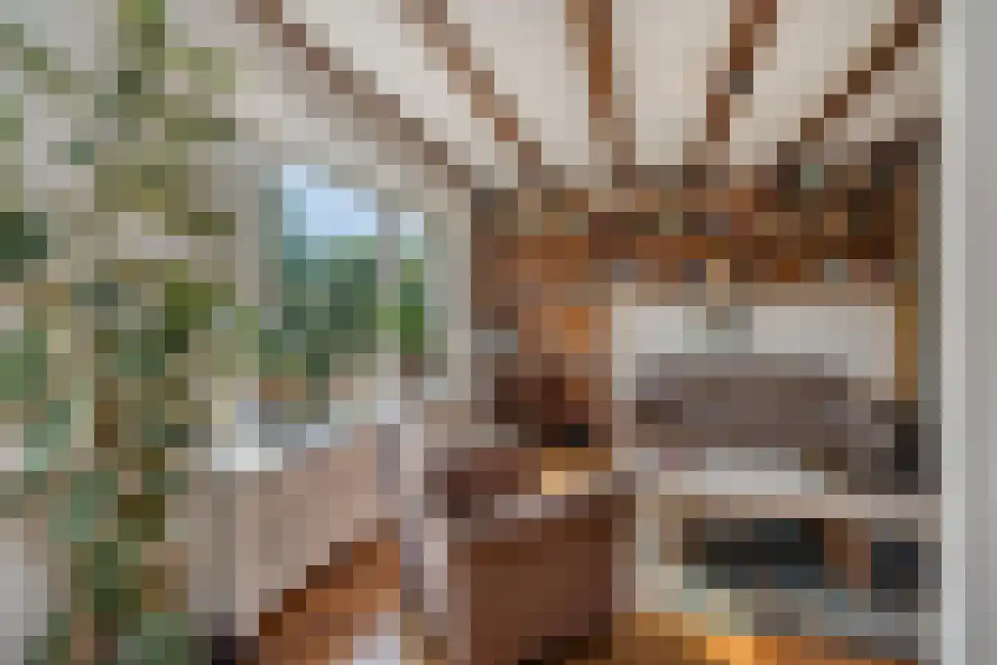 Bolensteinsestraat 20 Maarssen thumbnail 7