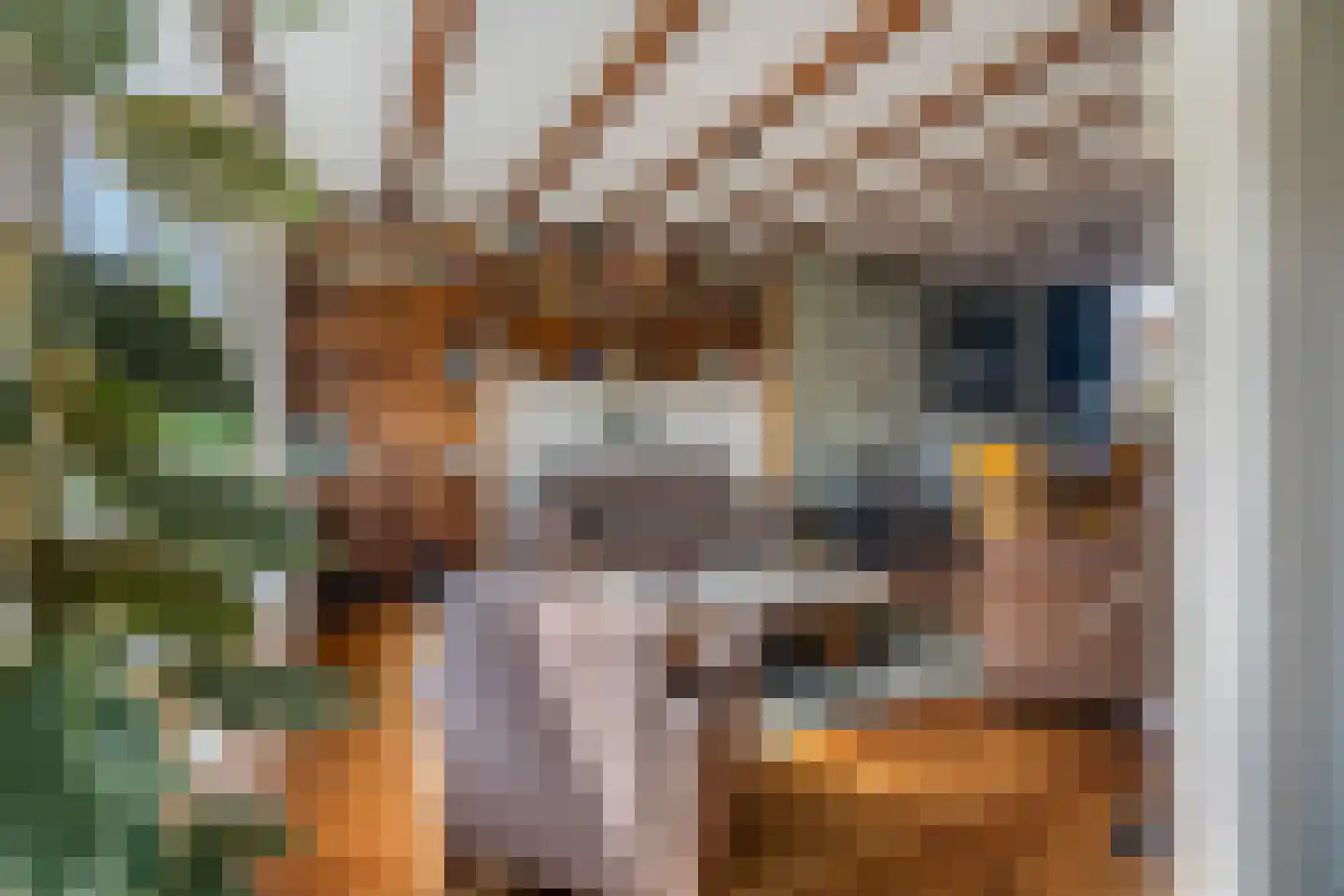 Bolensteinsestraat 20 Maarssen thumbnail 8