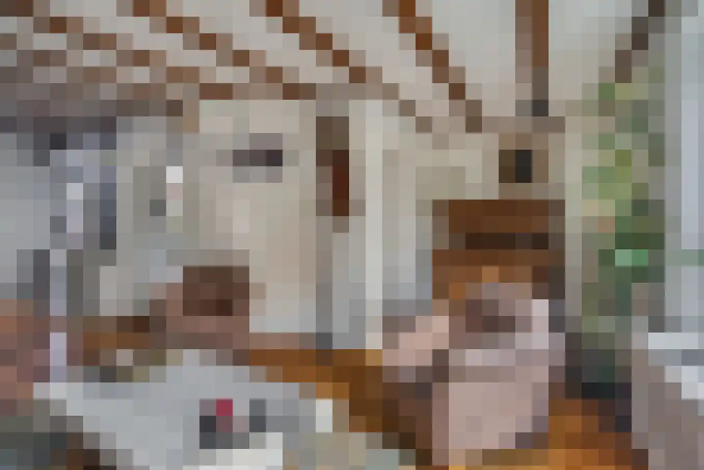 Bolensteinsestraat 20 Maarssen thumbnail 9