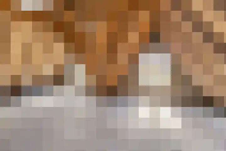 Bolensteinsestraat 38 Maarssen thumbnail 12