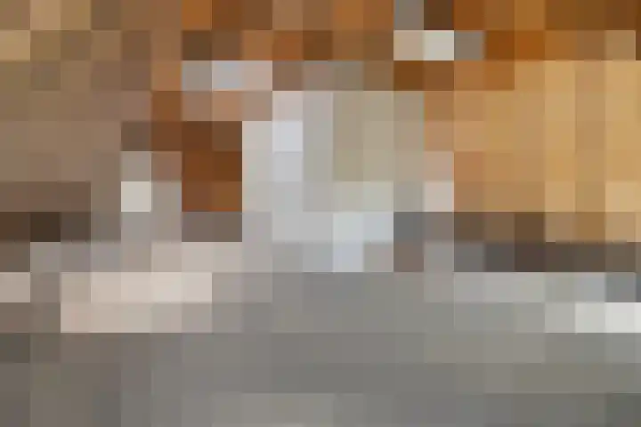 Bolensteinsestraat 38 Maarssen thumbnail 13
