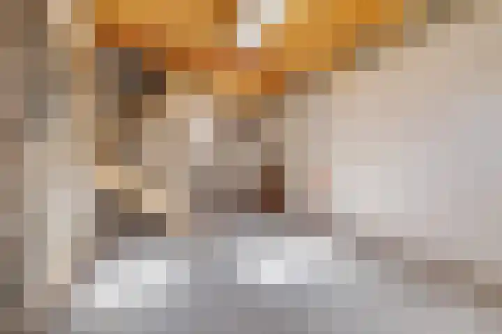 Bolensteinsestraat 38 Maarssen thumbnail 5