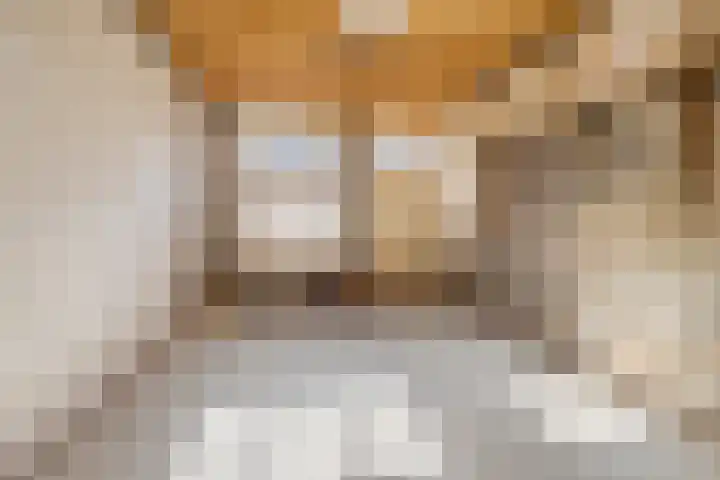 Bolensteinsestraat 38 Maarssen thumbnail 6