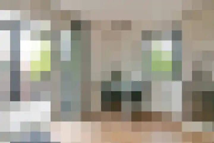 Bolero 11 Nieuw-Vennep thumbnail 12