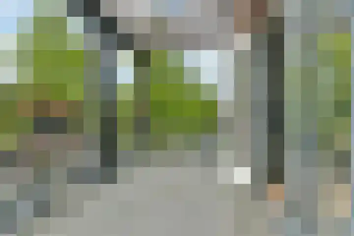 Bolero 11 Nieuw-Vennep thumbnail 19