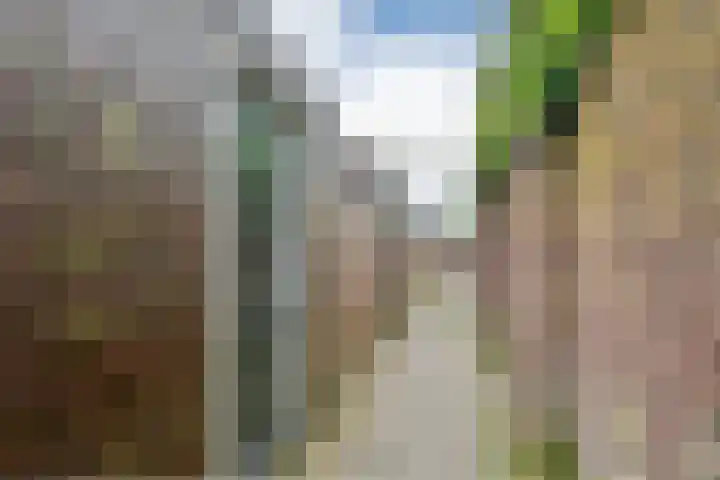 Bolero 11 Nieuw-Vennep thumbnail 30
